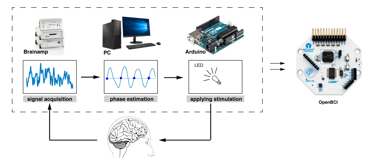 OpenBCI Neural Feedback