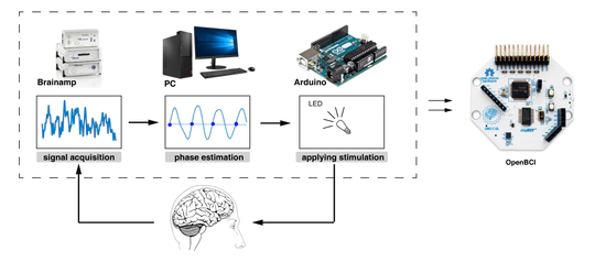 Real-time Phase Locked Neural Feedback System Development